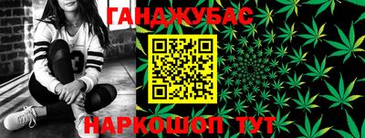 Альфа ПВП Моздок