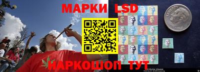 Альфа ПВП Моздок