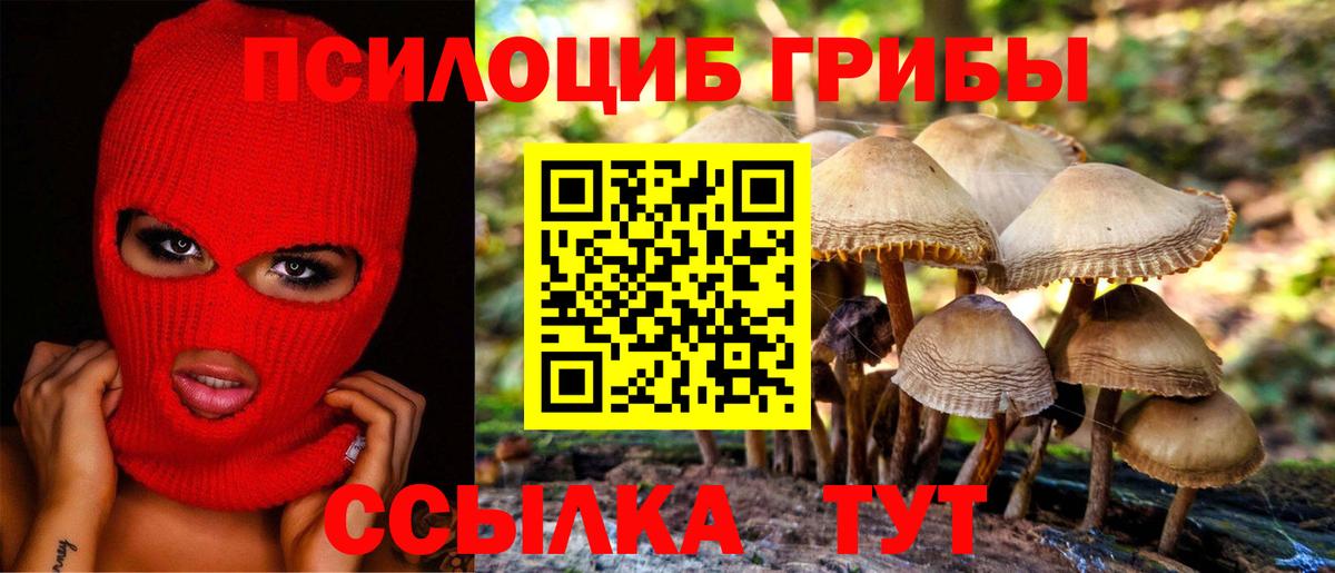 Галлюциногенные грибы мухоморы Тобольск
