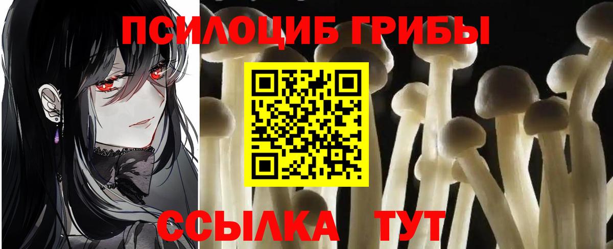 Псилоцибиновые грибы ЛСД  Вход с VPN  Тобольск  Псилоцибиновые грибы ЛСД 